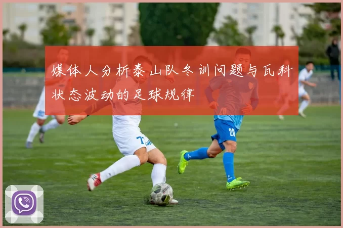 媒体人分析泰山队冬训问题与瓦科状态波动的足球规律