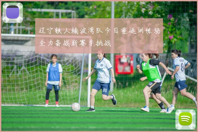 辽宁铁人楠波湾队今日重返训练场全力备战新赛季挑战